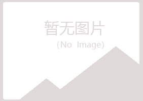 河池含玉造纸有限公司